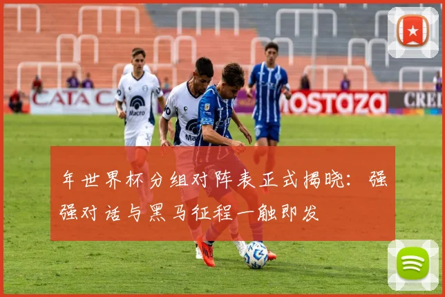 年世界杯分组对阵表正式揭晓:强强对话与黑马征程一触即发