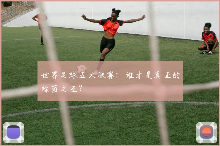 世界足球五大联赛:谁才是真正的绿茵之王?