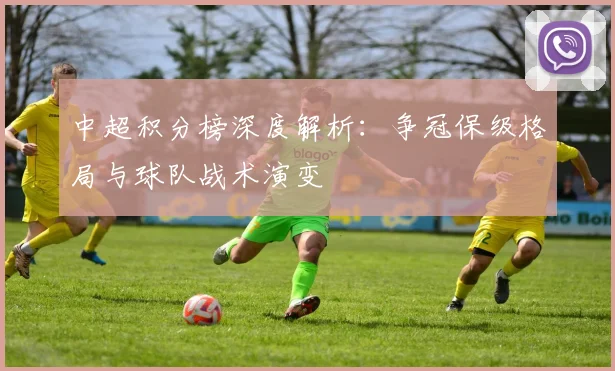 中超积分榜深度解析:争冠保级格局与球队战术演变